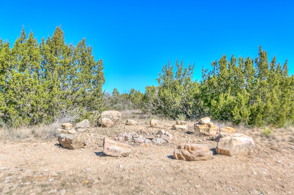 14976 Lake Ivie Dr Property Photo 4