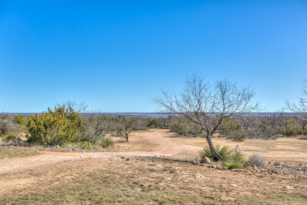 14976 Lake Ivie Dr Property Photo 10