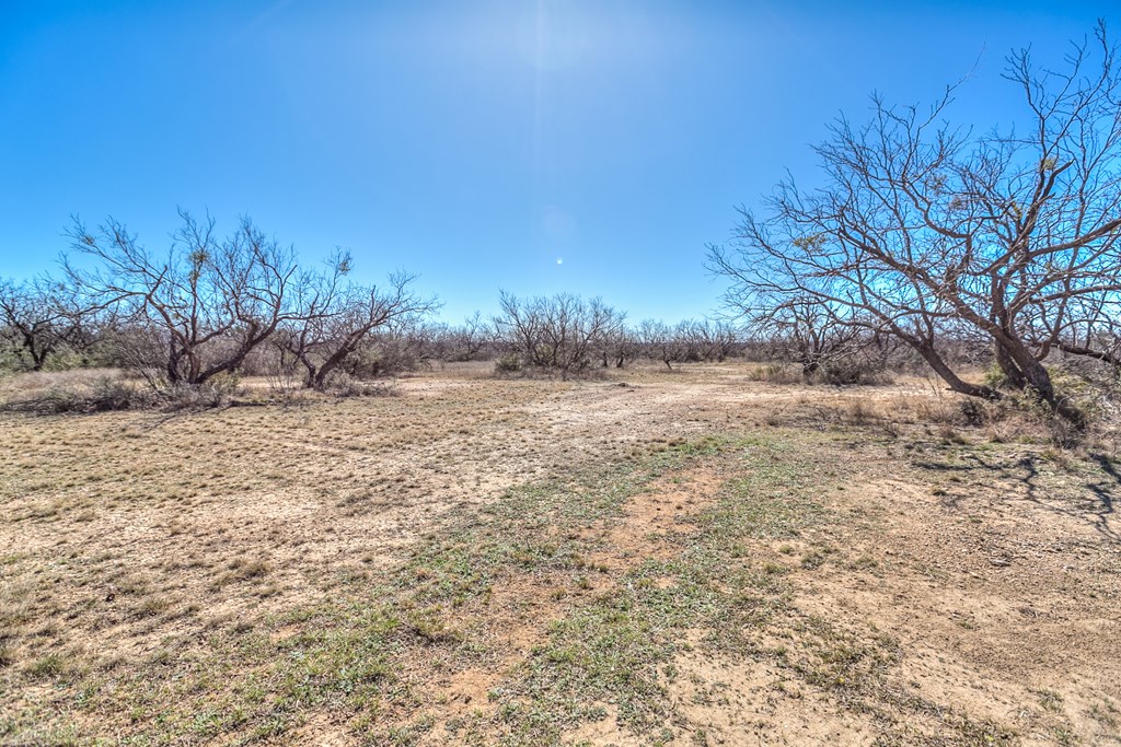 14976 Lake Ivie Dr Property Photo 53