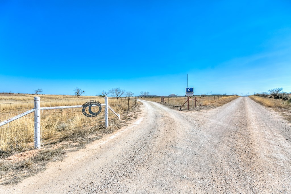 505 Other Property Photo 2