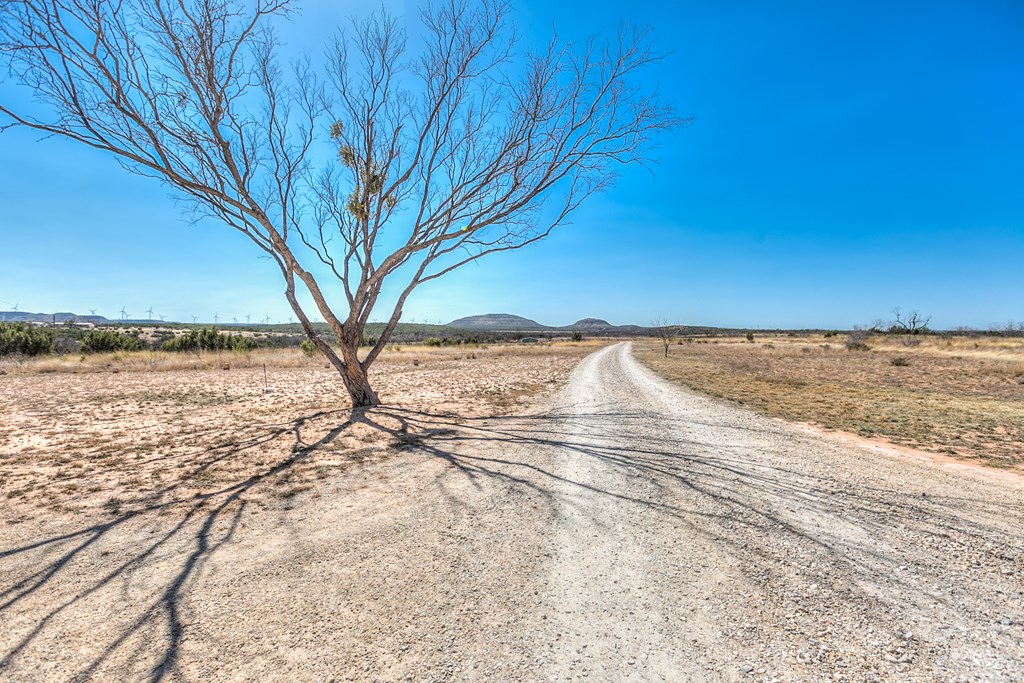 505 Other Property Photo 3