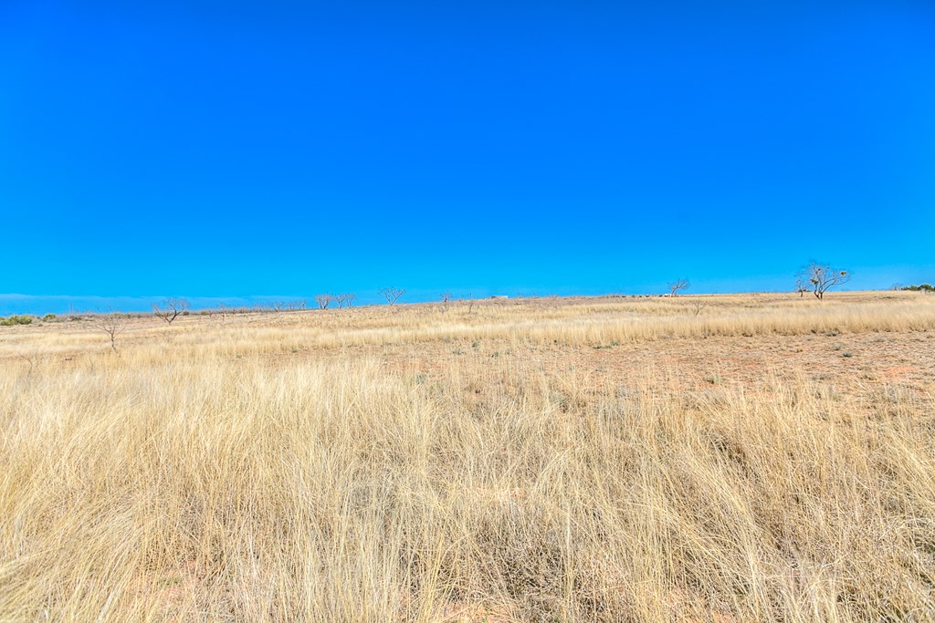 505 Other Property Photo 36