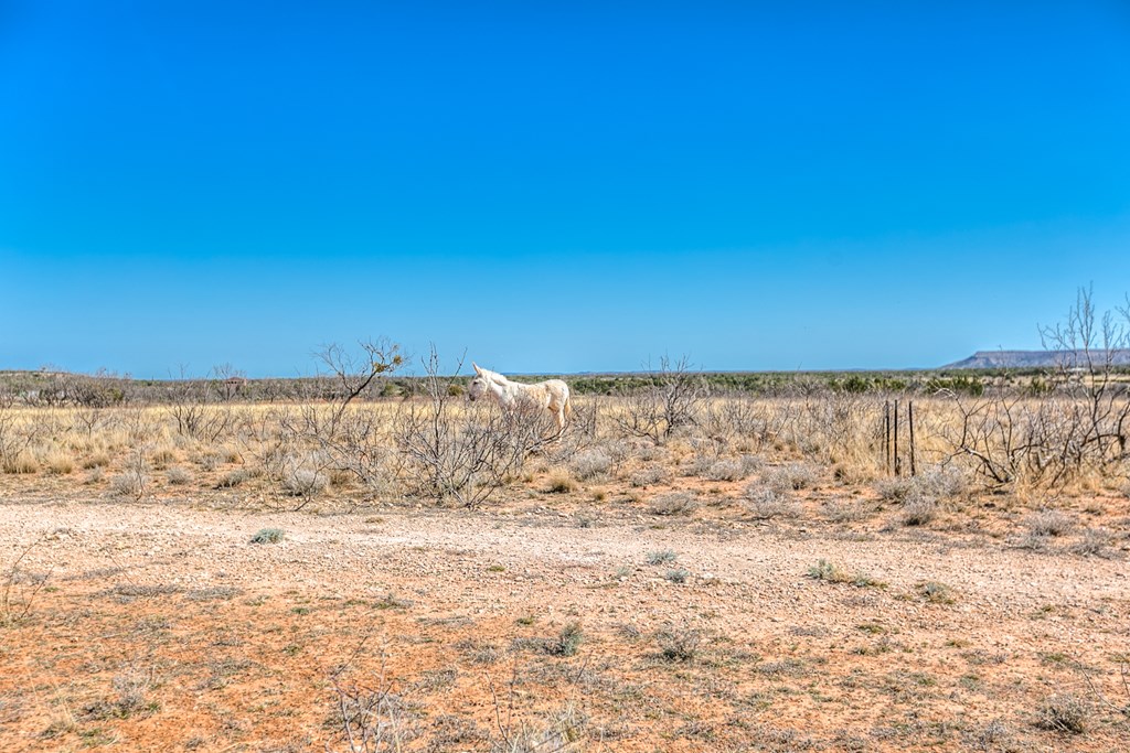 505 Other Property Photo 40
