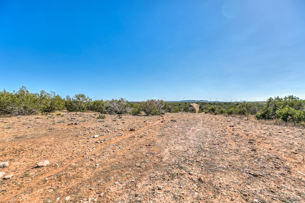 505 Other Property Photo 49