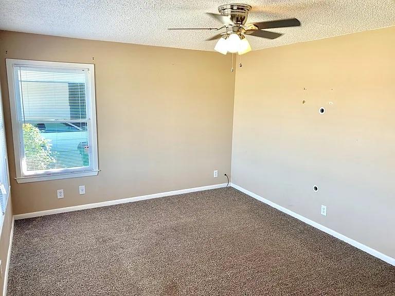 2411 Freeland St Property Photo 17