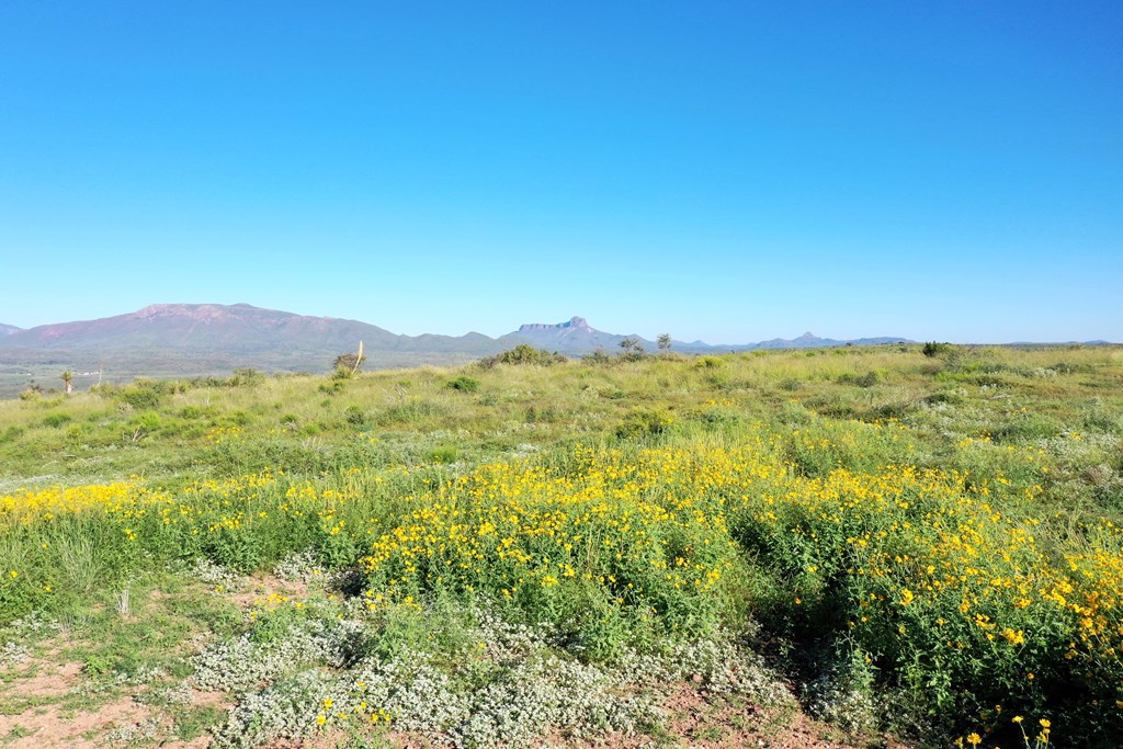 48309 Hwy 118 Property Photo 38