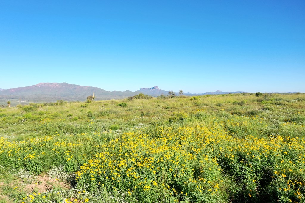 48309 Hwy 118 Property Photo 39