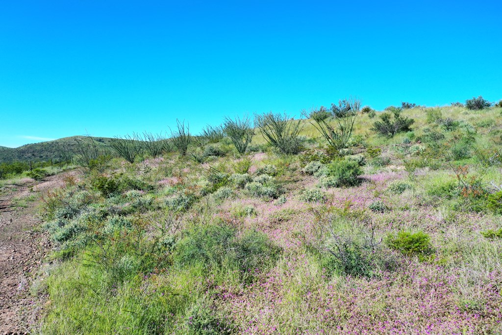48309 Hwy 118 Property Photo 46