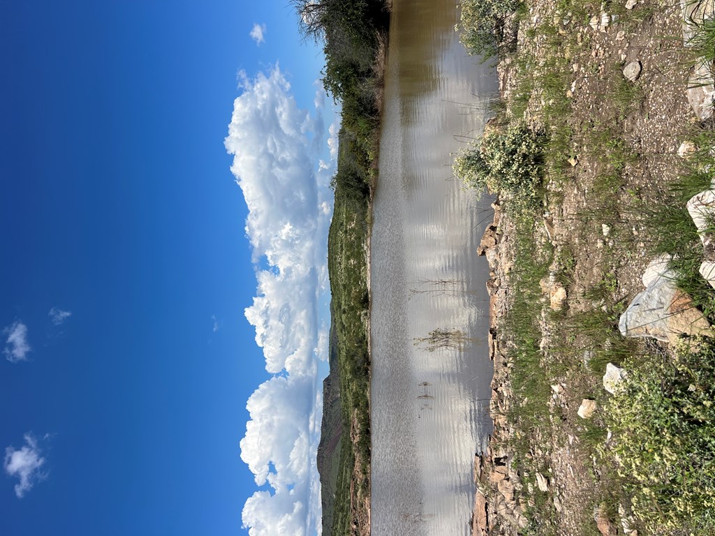 48309 Hwy 118 Property Photo 54