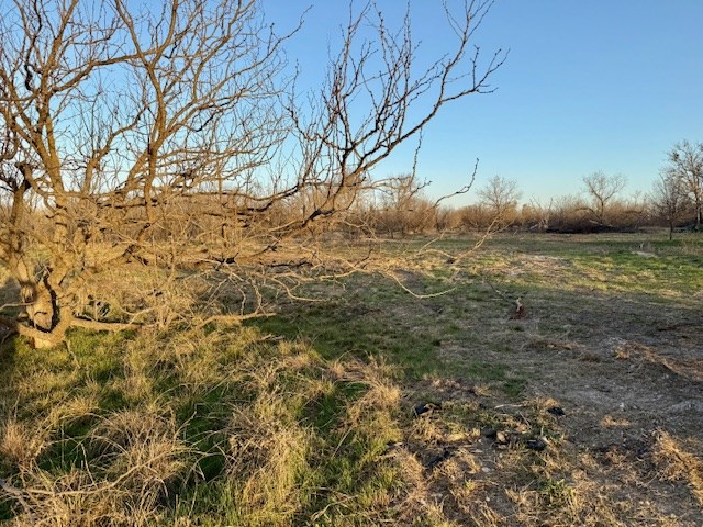 00 County Rd 288 Property Photo 3
