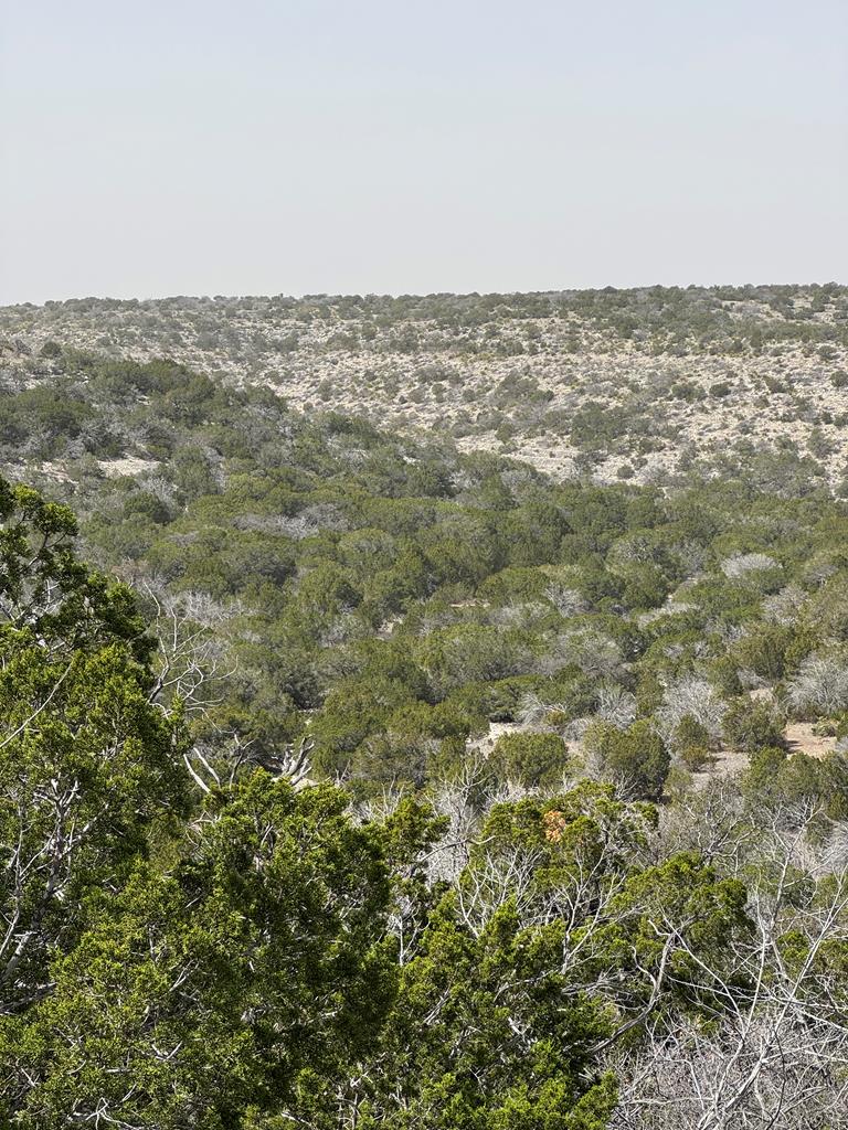 Del Rio Real Estate Listings Main Image