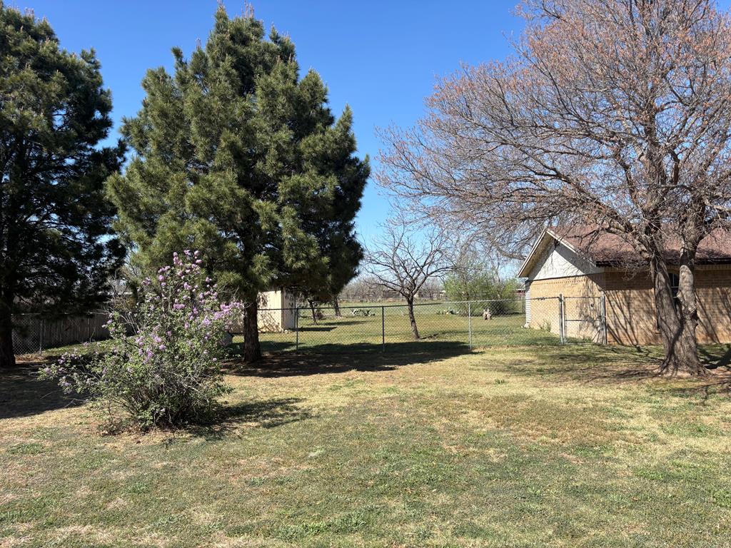 208 Blue Grass Dr Property Photo 49