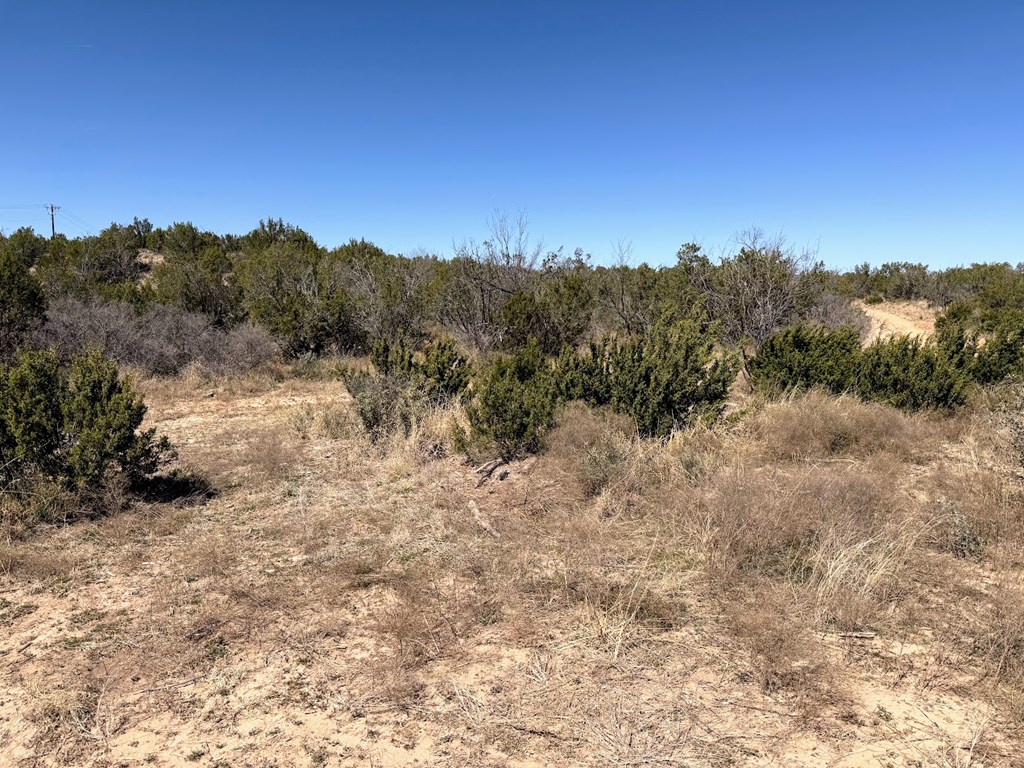 Tbd Menielle Rd Property Photo 7