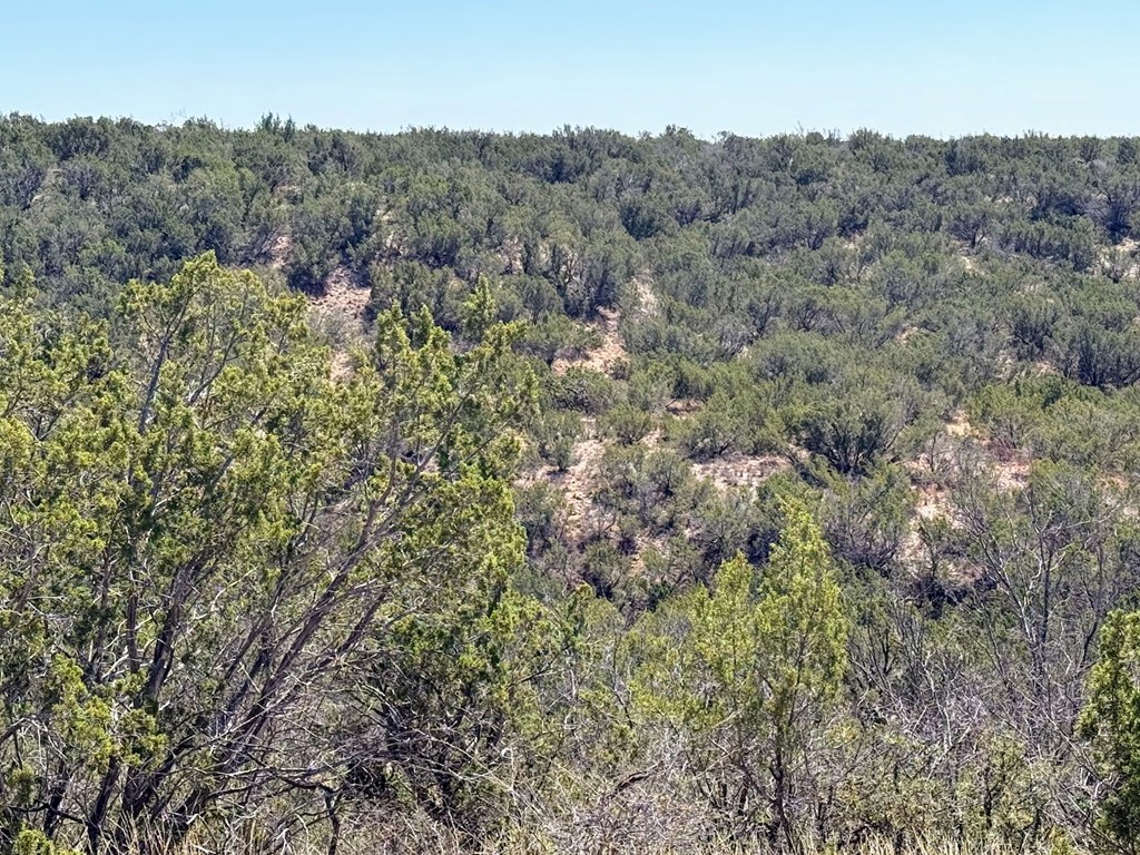 Tbd Menielle Rd Property Photo 8