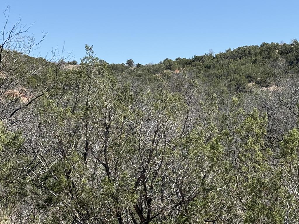 Tbd Menielle Rd Property Photo 10