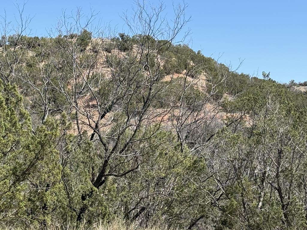 Tbd Menielle Rd Property Photo 13