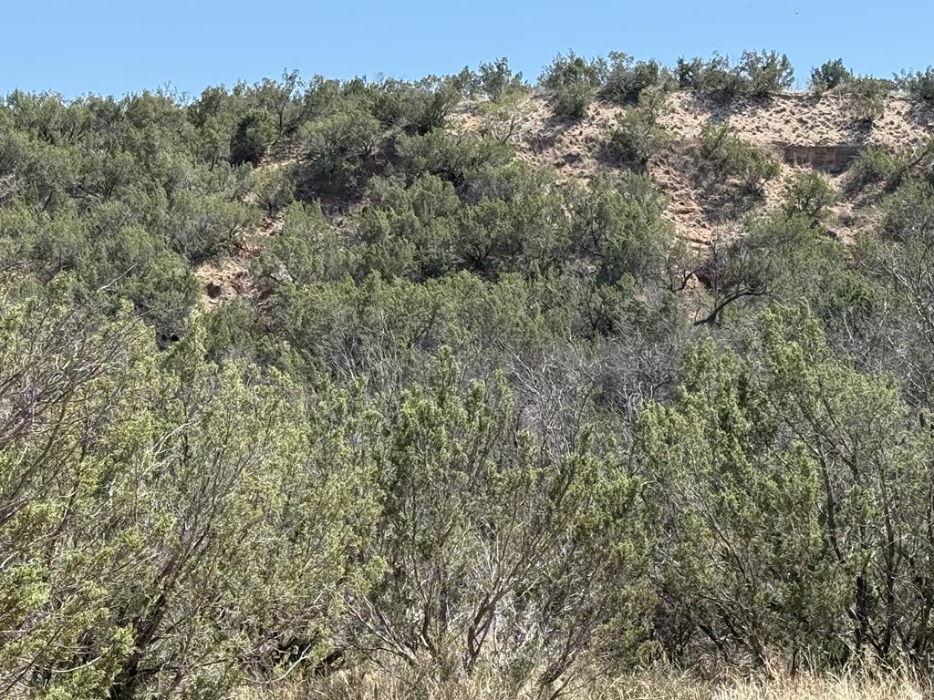 Tbd Menielle Rd Property Photo 15