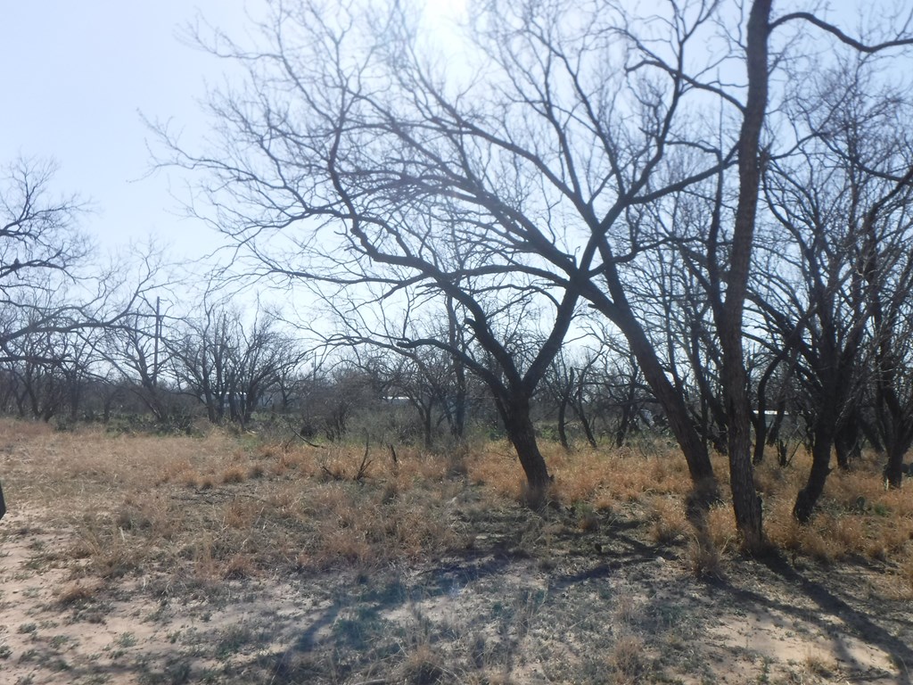 13330 Turkey Run Rd 22 Property Photo 7