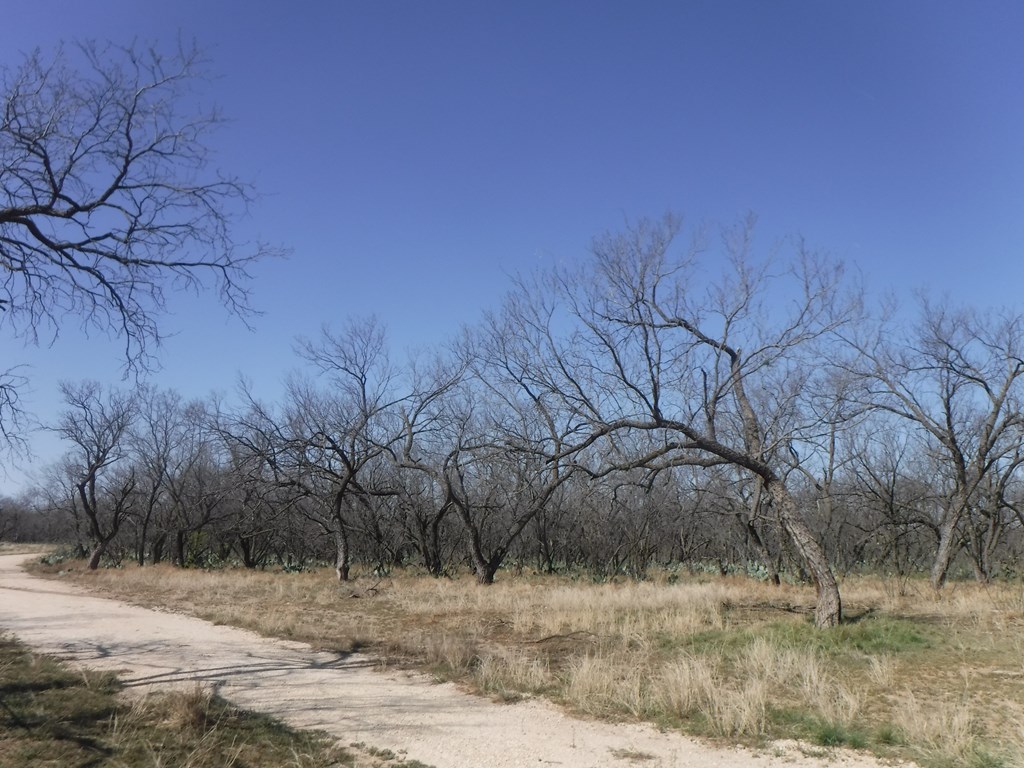 13330 Turkey Run Rd 22 Property Photo 12