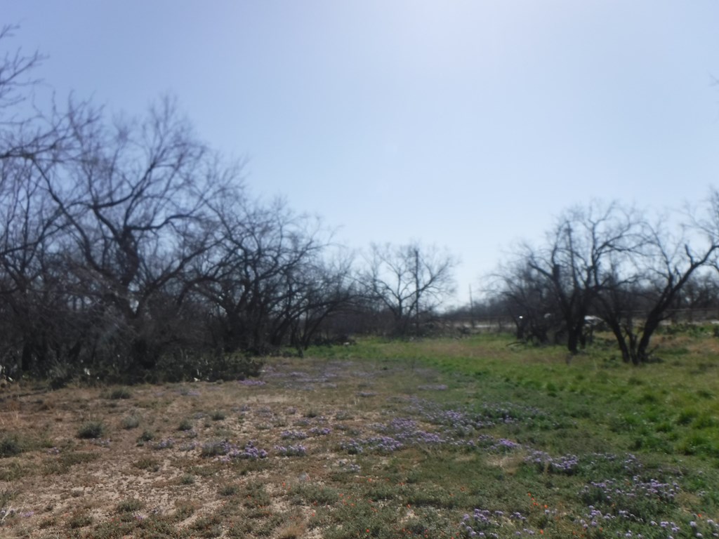 13330 Turkey Run Rd 22 Property Photo 23