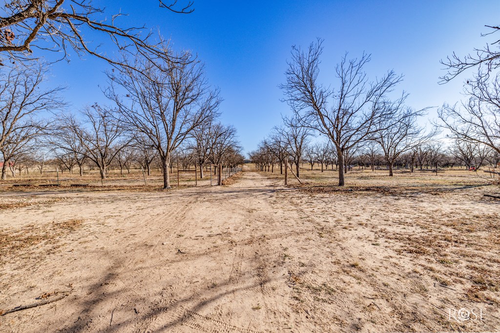 11317 E Dove Creek East Lane Property Photo 43