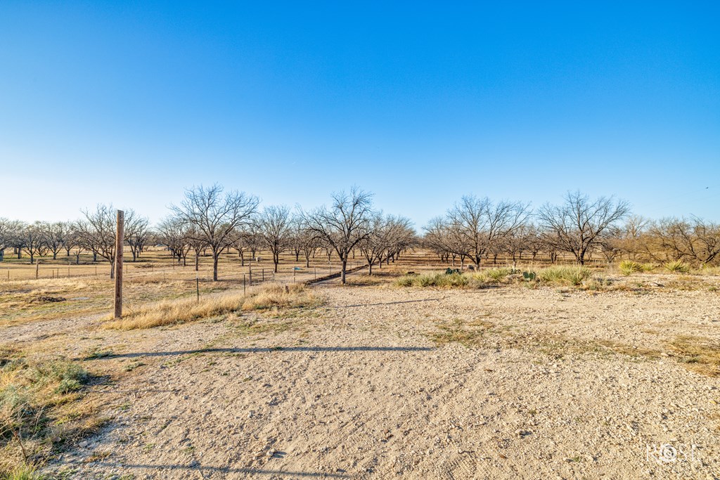 11317 E Dove Creek East Lane Property Photo 47