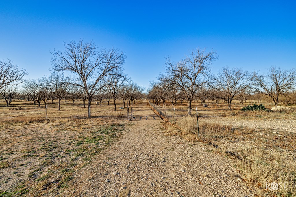 11317 E Dove Creek East Lane Property Photo 48