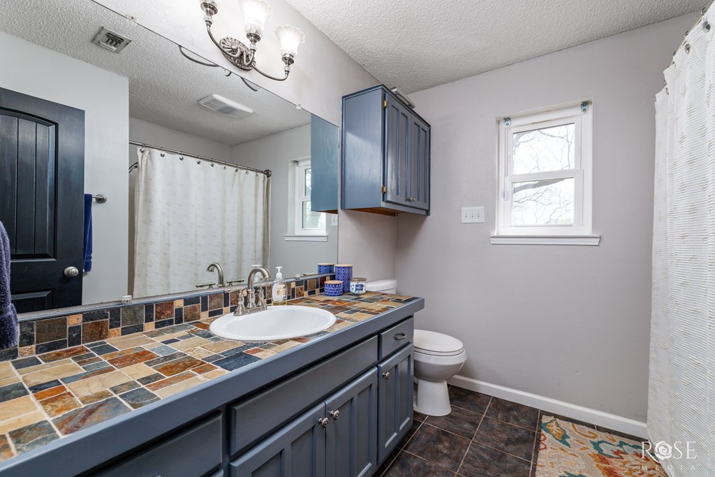 11381 Dove Creek East Lane Property Photo 22