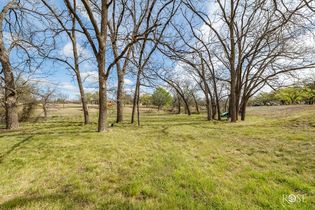 11381 Dove Creek East Lane Property Photo 38