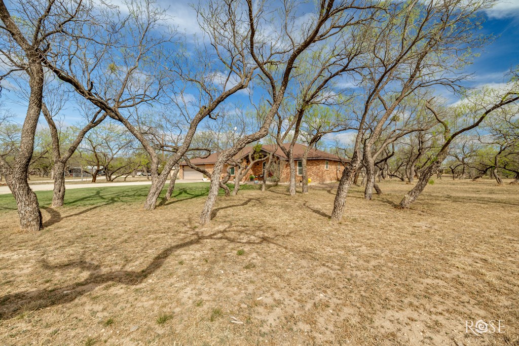 11381 Dove Creek East Lane Property Photo 41
