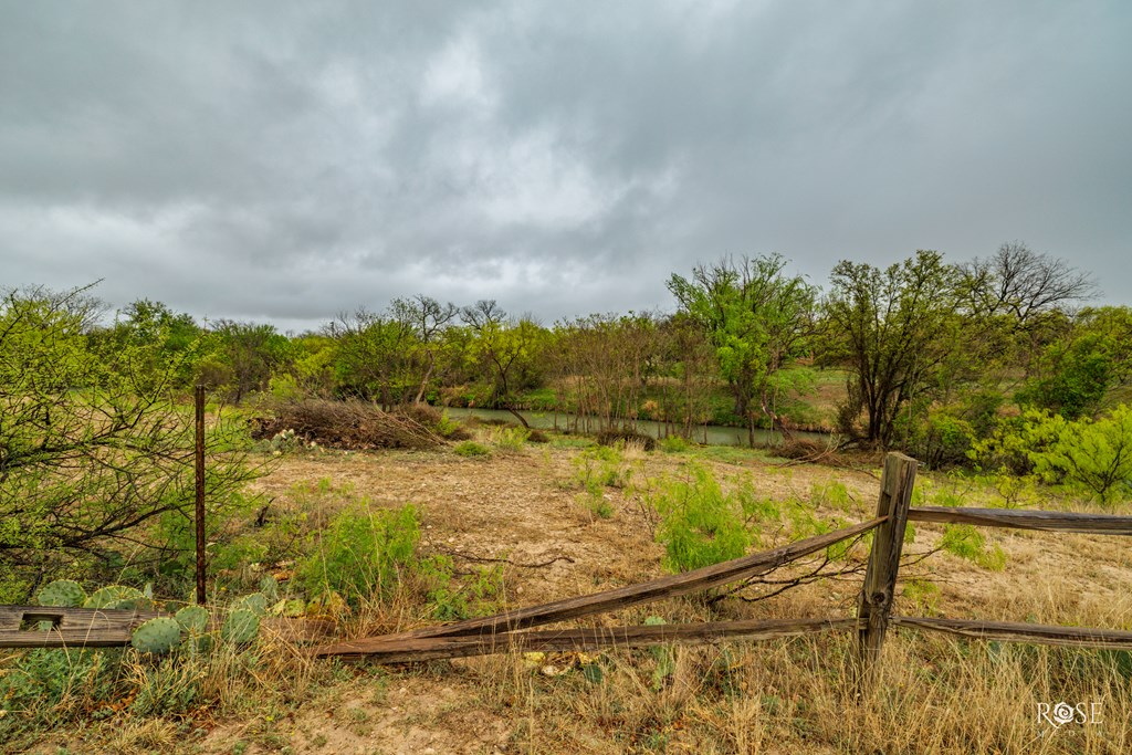 12713 Dove Creek Lane West Property Photo 38
