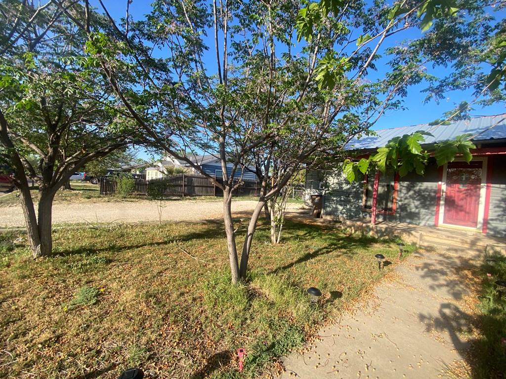 1112 Luna St Property Photo 6