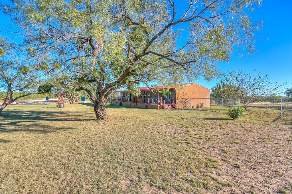 11035 Graham Way Property Photo 7