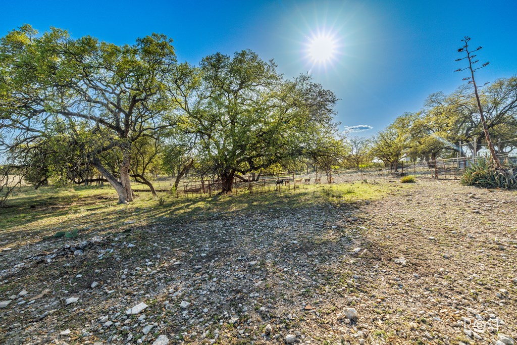 6081 Candice Rd Property Photo 42