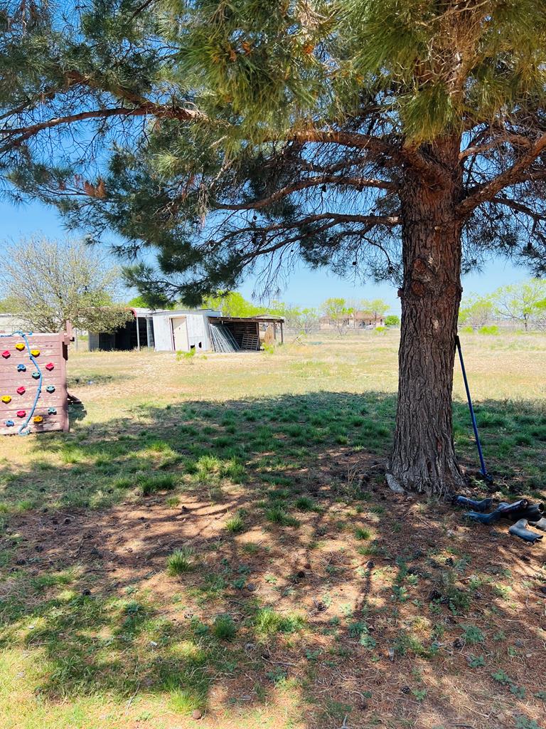 1030 Scott Lane Property Photo 24
