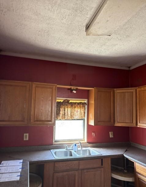 8381 Petunia Ave Property Photo 6