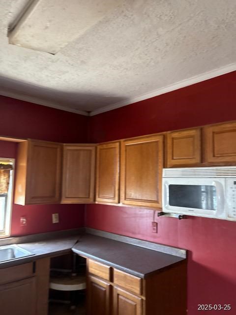 8381 Petunia Ave Property Photo 12