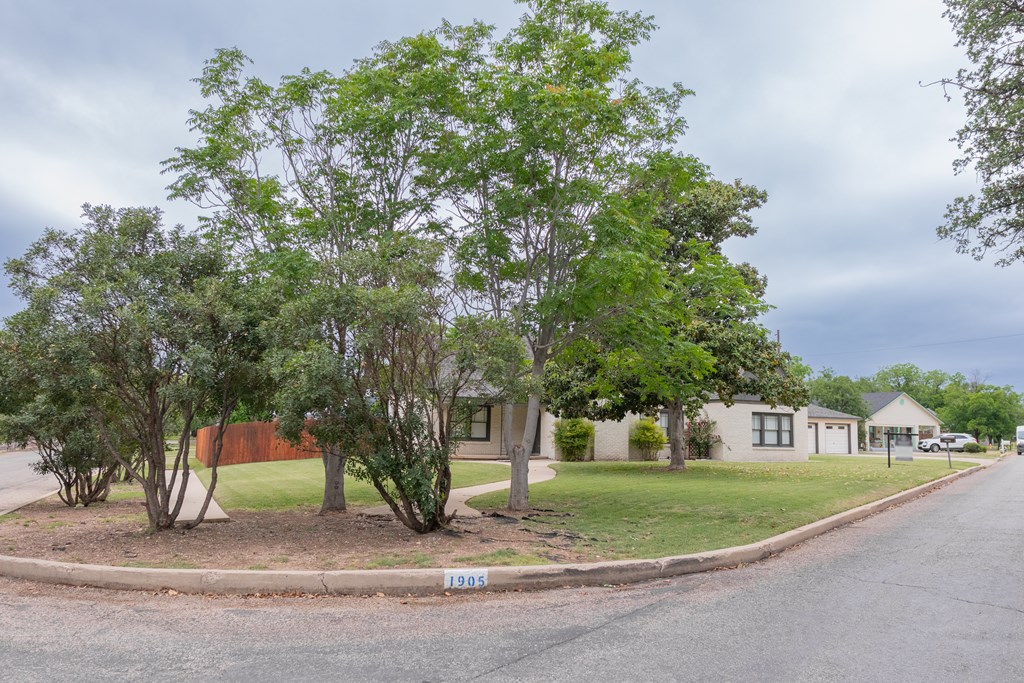 1905 Live Oak St Property Photo 3