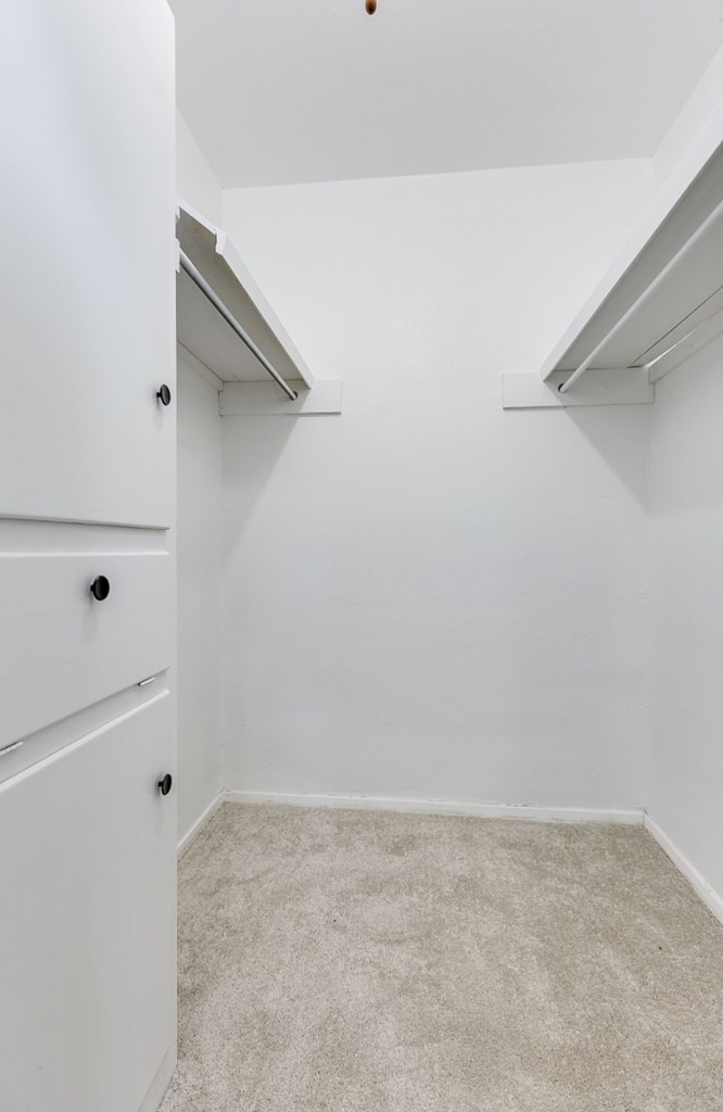 3519 Lindenwood Dr Property Photo 17