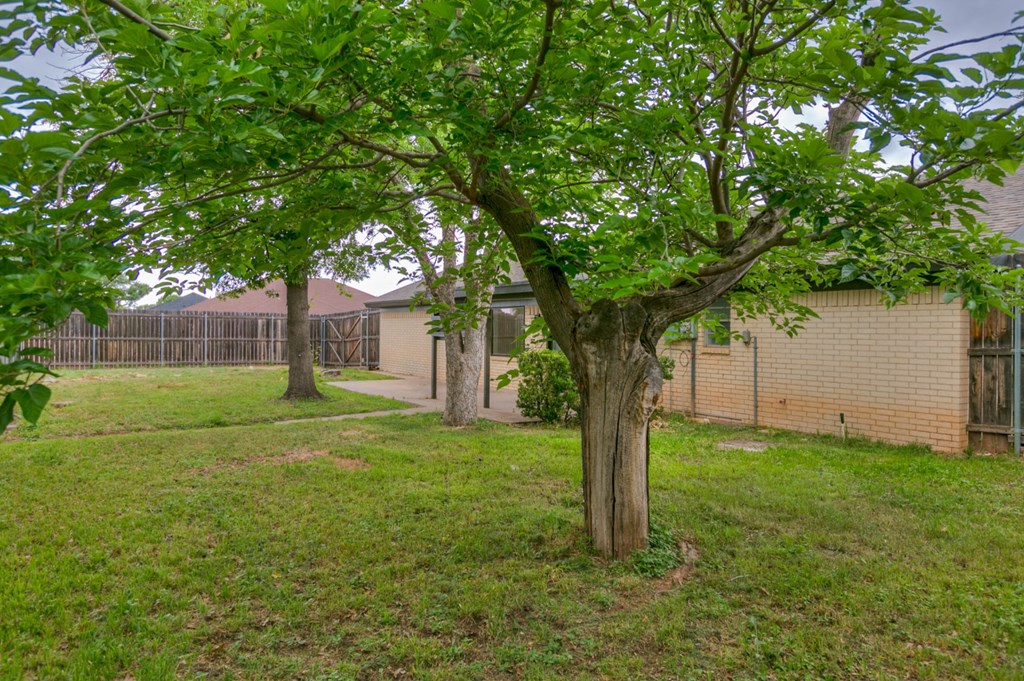 3519 Lindenwood Dr Property Photo 28