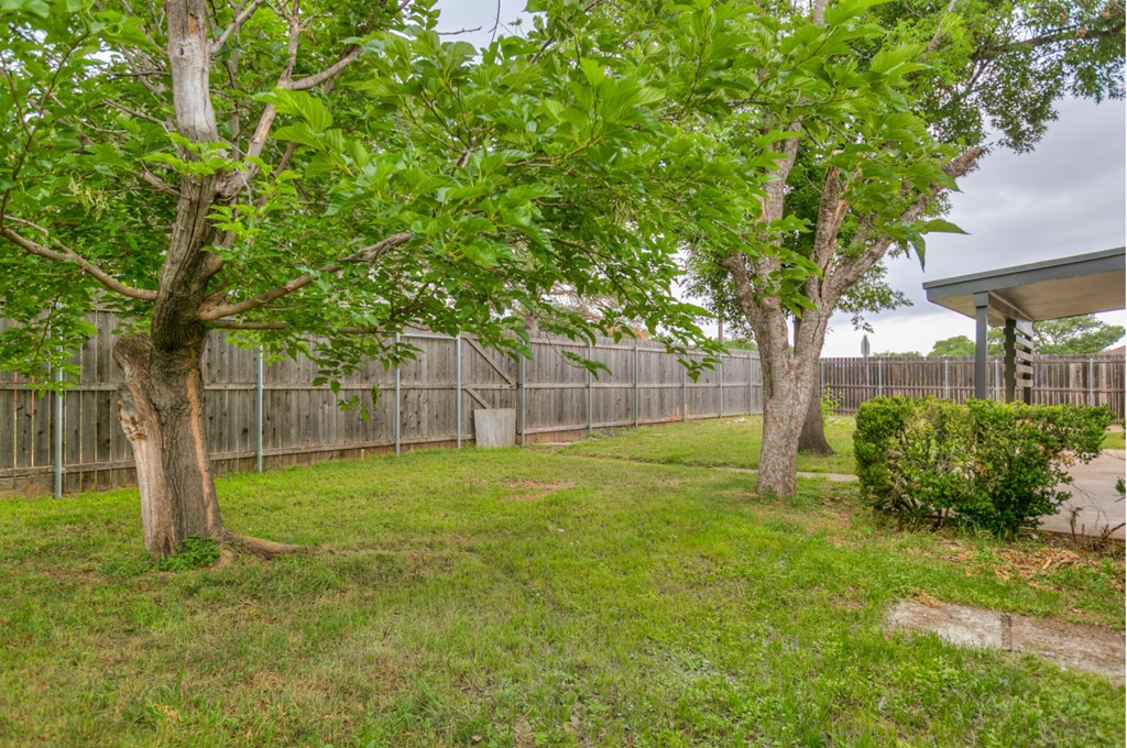 3519 Lindenwood Dr Property Photo 29