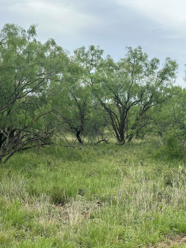 9510 Iron Spoke Trail 15