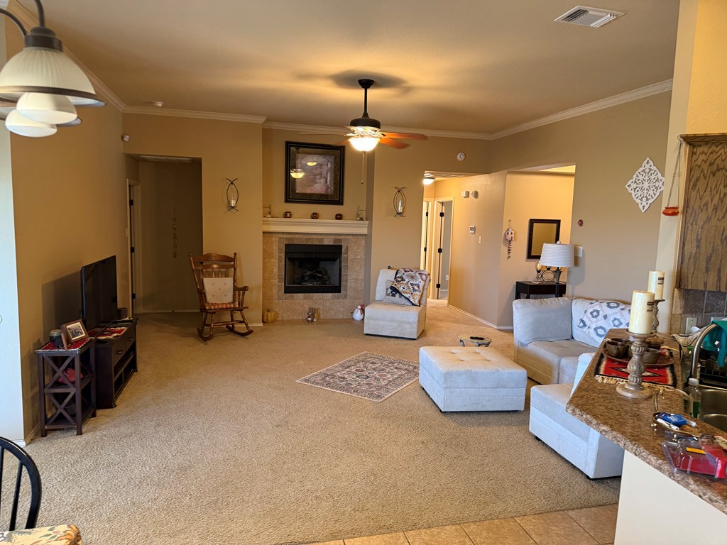 4609 Pinon Ridge Dr Property Photo 6