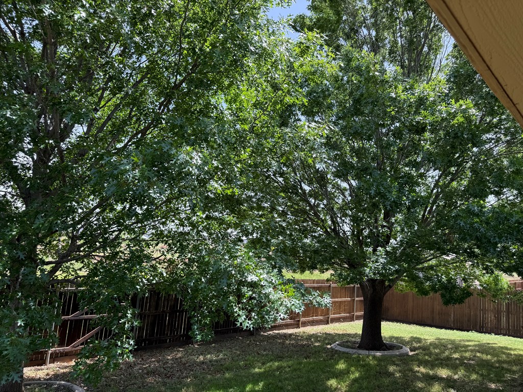 4609 Pinon Ridge Dr Property Photo 17