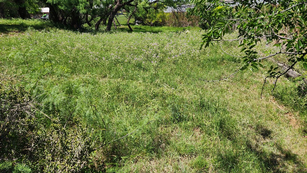 2902 Red Bluff Circle Property Photo 7