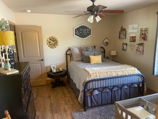 11725 Little Sorrel Trail Property Photo 21