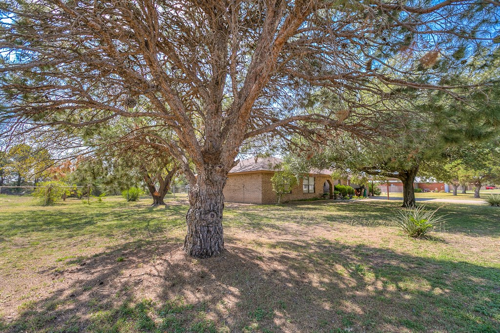 1027 Butterfly Lane Property Photo 40