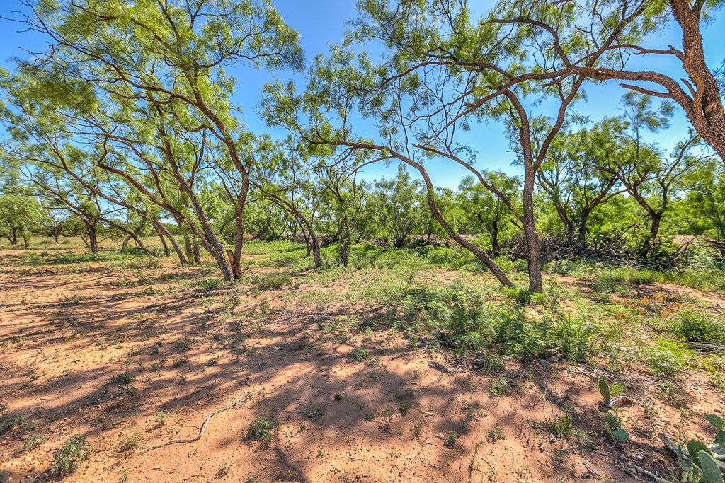 5001 Fm 2333 Property Photo 41