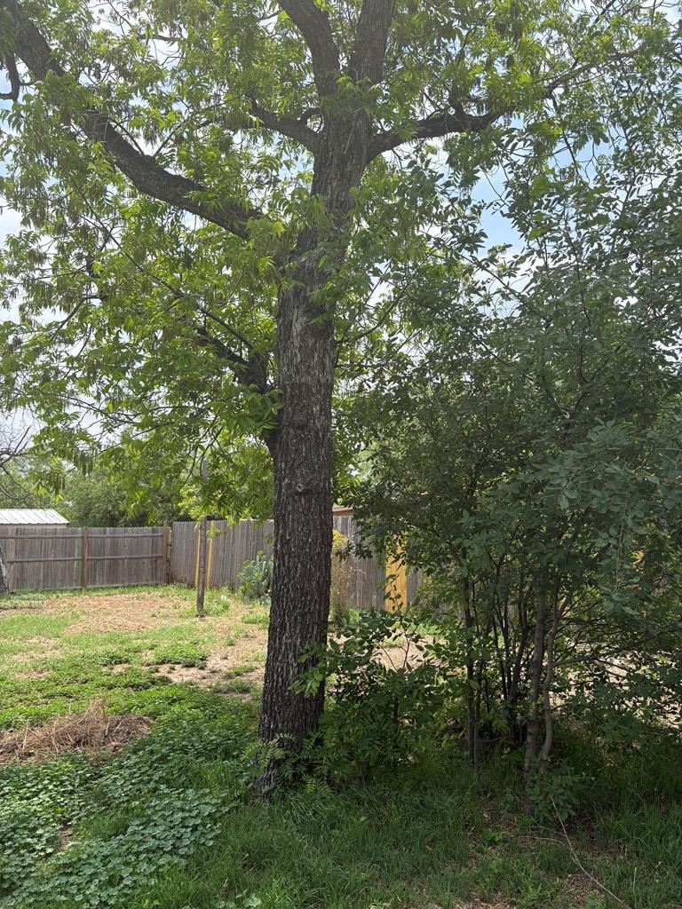 811 Akin St Property Photo 18