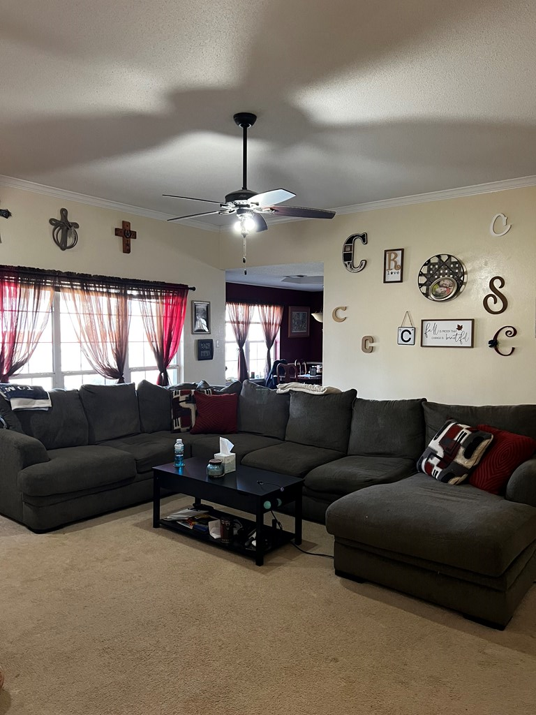 3514 Shadyhill Dr Property Photo 4